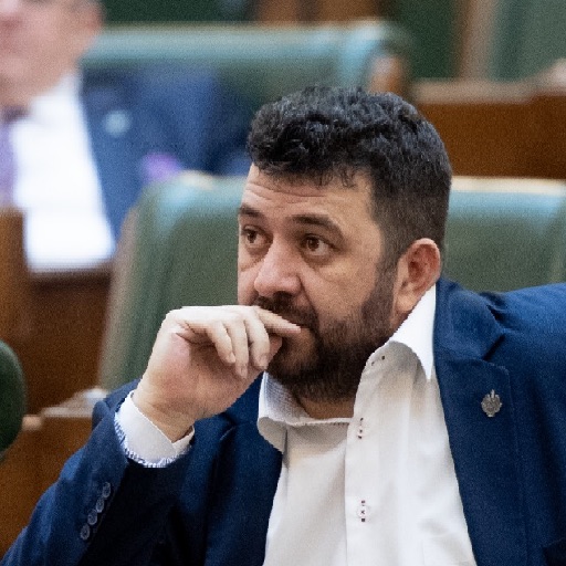 Fotografie Dorin-Valeriu BĂDULESCU