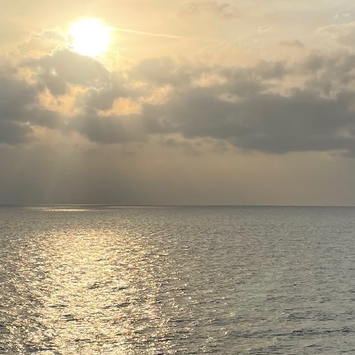 Fotografie IOANA-CRISTINA CIOARIC