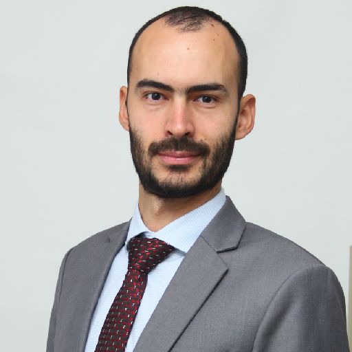 Fotografie DANIEL GOIDESCU