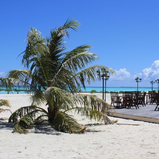 Fotografie Petru IVASCU