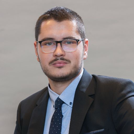 Fotografie NICOLAE-DAN MUNTEANU