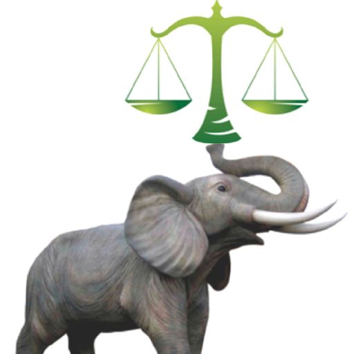 Fotografie Mihaela NEVOIE