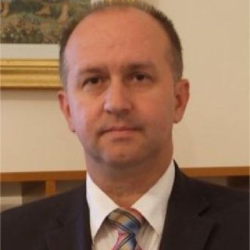 Fotografie MIHAIL-ROMEO NICOLESCU