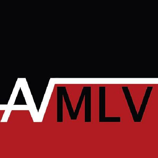 Fotografie Mihaela-Luminiţa VATAVU